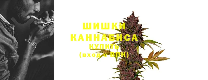 Каннабис OG Kush  Балтийск 